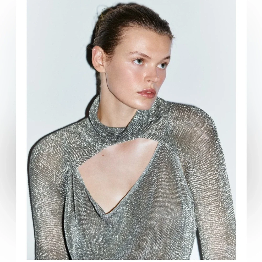 ZARA METALLIC THREAD MESH DRESS LIMITED EDITION - Picture 6 of 12